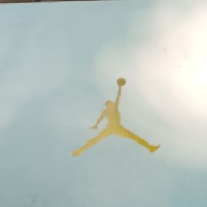 Michael Jordan gym shoes